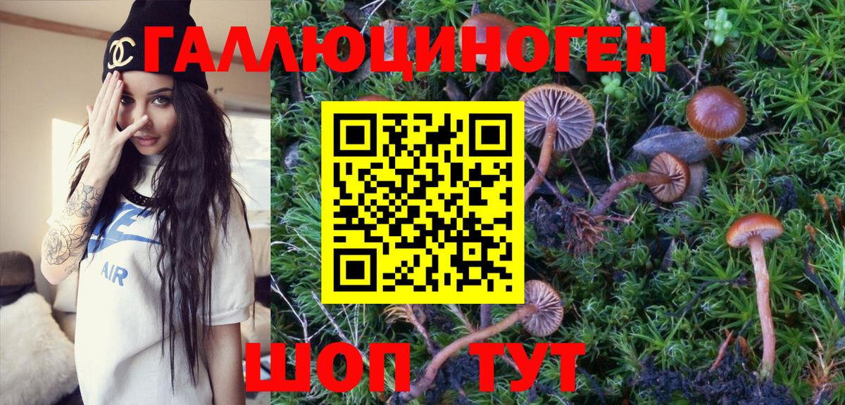 Псилоцибиновые грибы Psilocybine cubensis  Галлюциногенные грибы Psilocybine cubensis  Вход с VPN  Усинск 
